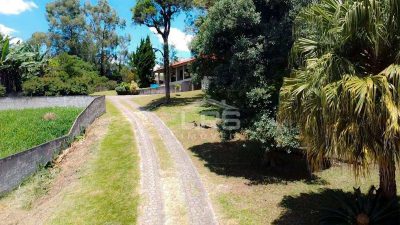 Casa, 4 quartos, 150 m² - Foto 3