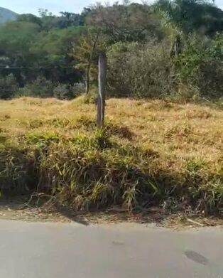 Terreno, 1200 m² - Foto 4