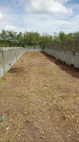 Terreno - Foto 2