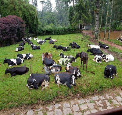 Fazenda, 317 m² - Foto 1