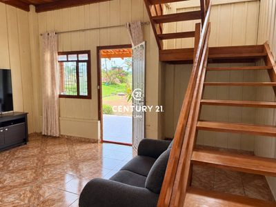 Chácara, 4 hectares - Foto 3