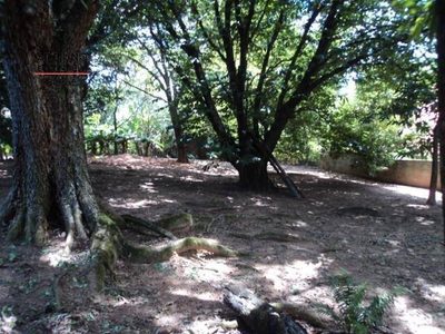 Terreno, 3000 m² - Foto 3