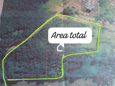 Terreno, 3 hectares - Foto 2