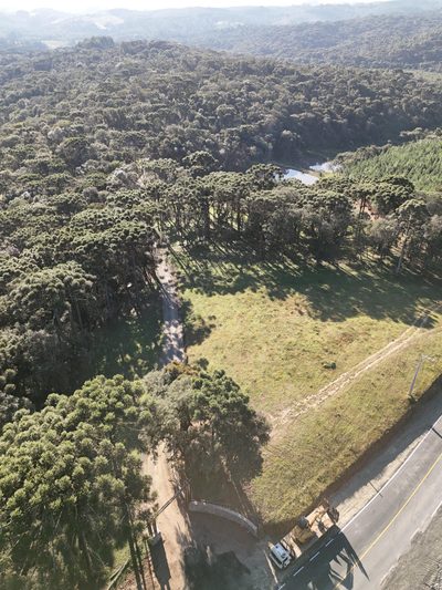 Terreno, 3 hectares - Foto 4
