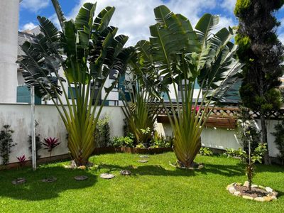 Casa, 3 quartos, 200 m² - Foto 4