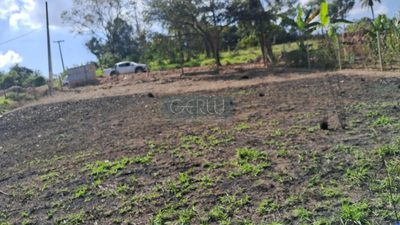Terreno, 1000 m² - Foto 5