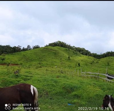 Sítio, 9 m² - Foto 4