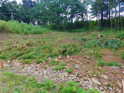 Terreno, 450 m² - Foto 4