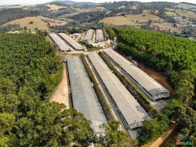 Terreno, 2 hectares - Foto 4