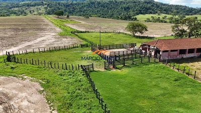 Fazenda, 653 hectares - Foto 2