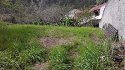 Terreno - Foto 5