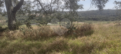 Terreno, 4 hectares - Foto 3