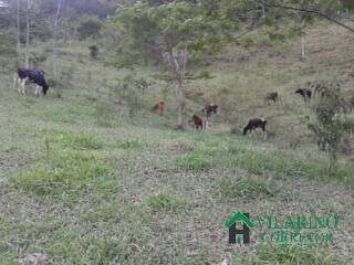 Fazenda, 450 m² - Foto 4