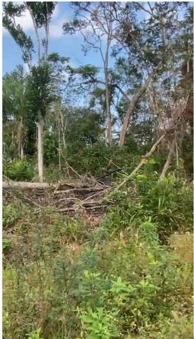 Terreno, 300 m² - Foto 2