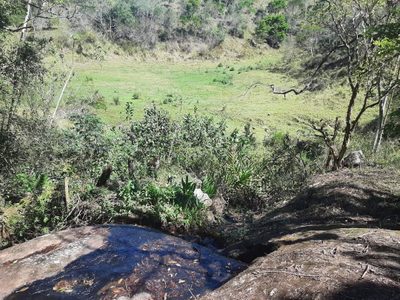 Fazenda, 200 m² - Foto 4