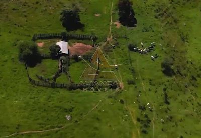 Fazenda, 324 hectares - Foto 2