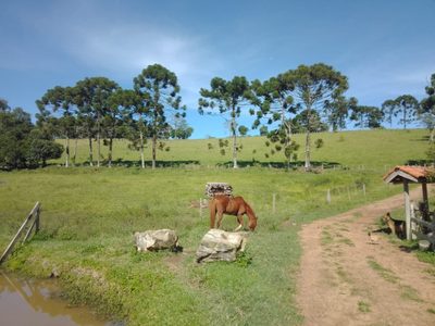 Chácara, 1 quarto, 242 m² - Foto 2