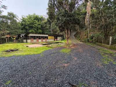 Sítio, 4 quartos, 20 hectares - Foto 4