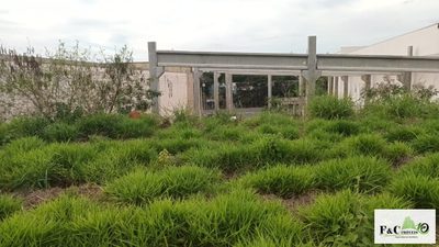 Terreno, 2734 m² - Foto 5