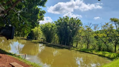 Sítio, 2 hectares - Foto 1