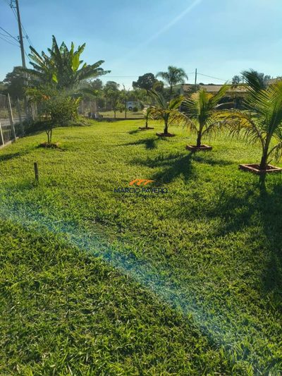 Chácara, 3 quartos, 1000 m² - Foto 2