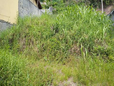 Terreno, 277 m² - Foto 3
