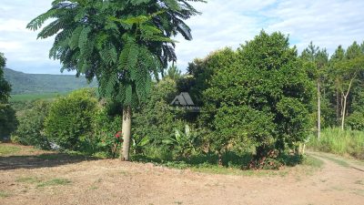 Sítio, 4 hectares - Foto 5