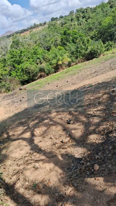 Terreno, 1000 m² - Foto 2