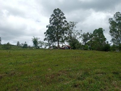 Sítio, 3 quartos, 12 hectares - Foto 1