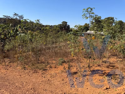 Fazenda, 4000 m² - Foto 1