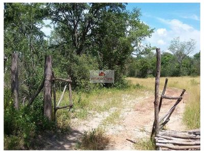 Fazenda, 7000 m² - Foto 4