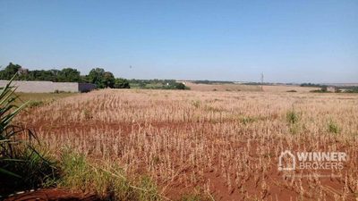 Terreno, 15 hectares - Foto 3