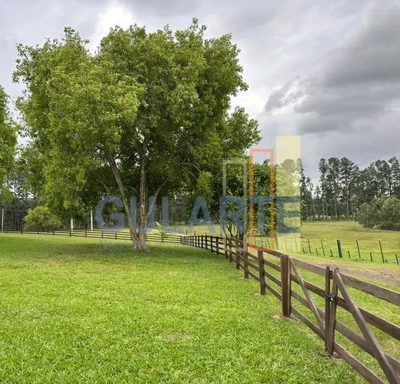 Chácara, 100 hectares - Foto 2