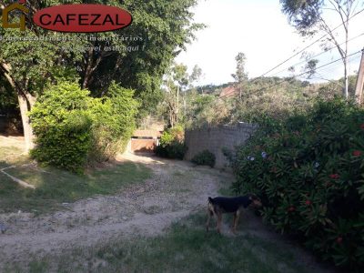 Casa, 3 quartos, 250 m² - Foto 4