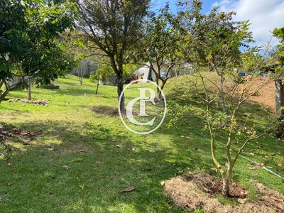 Chácara, 1 quarto, 3000 m² - Foto 2