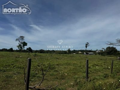Casa, 50000 m² - Foto 3