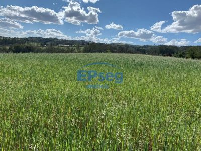 Terreno, 2 hectares - Foto 2