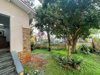 Loja-Salão, 278 m² - Foto 5