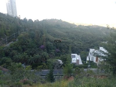 Terreno, 1205 m² - Foto 4
