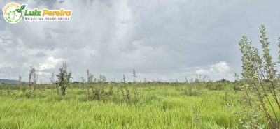 Terreno, 3500 m² - Foto 5