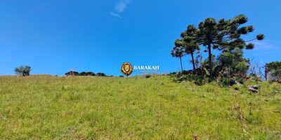 Sítio, 27 hectares - Foto 3