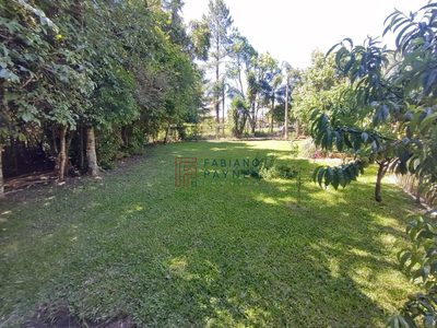 Terreno, 736 m² - Foto 4