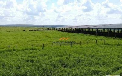 Fazenda, 842 hectares - Foto 3