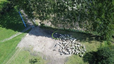 Fazenda, 320 hectares - Foto 4