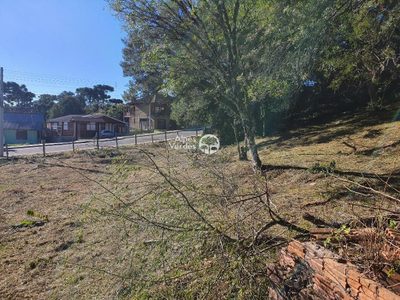 Terreno, 1546 m² - Foto 4