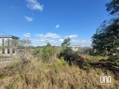 Terreno, 2729 m² - Foto 4