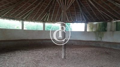 Sítio, 7 quartos, 580 m² - Foto 2