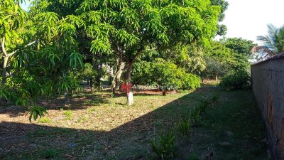 Terreno, 3800 m² - Foto 2