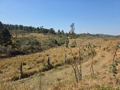 Terreno, 3 hectares - Foto 2