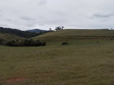 Fazenda, 130 hectares - Foto 1
